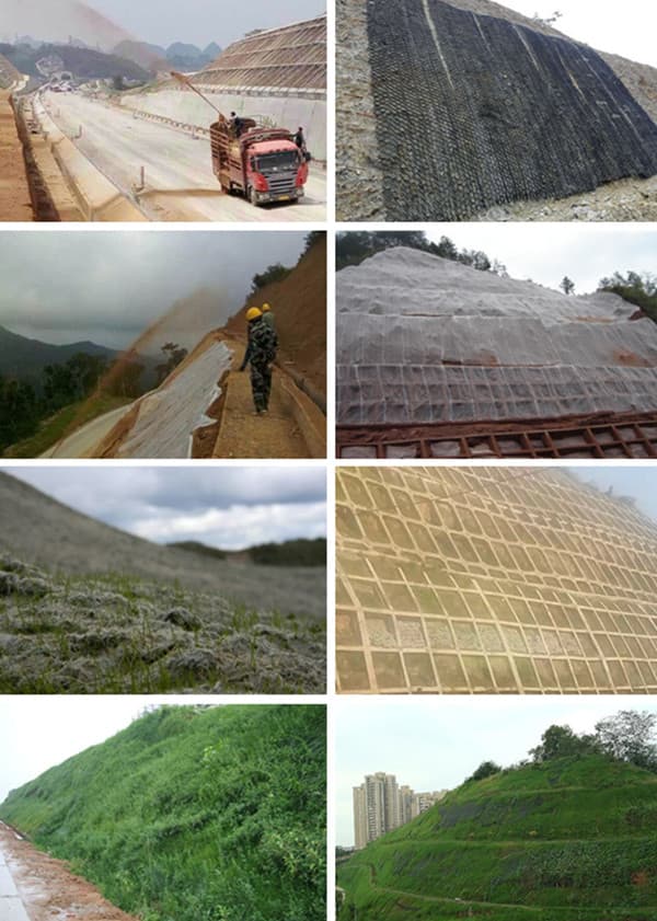 process of hydroseeding project