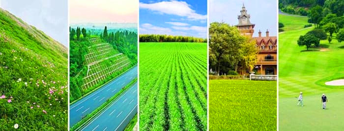 soil spraying technology in highway slope protection,