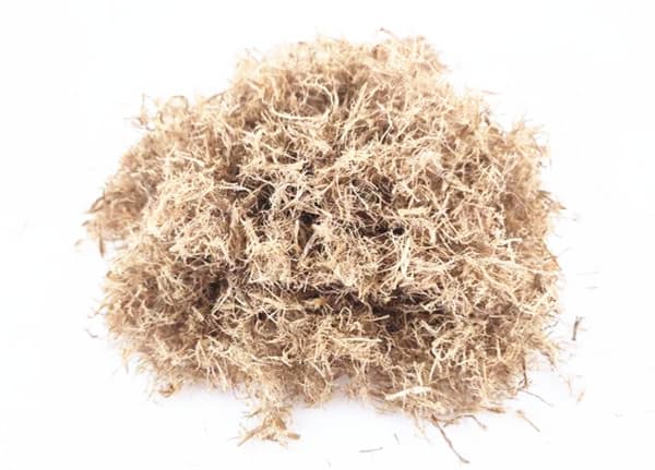 wood fiber raw material