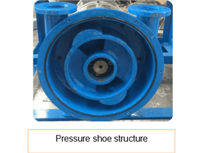 Pressure shoe structure