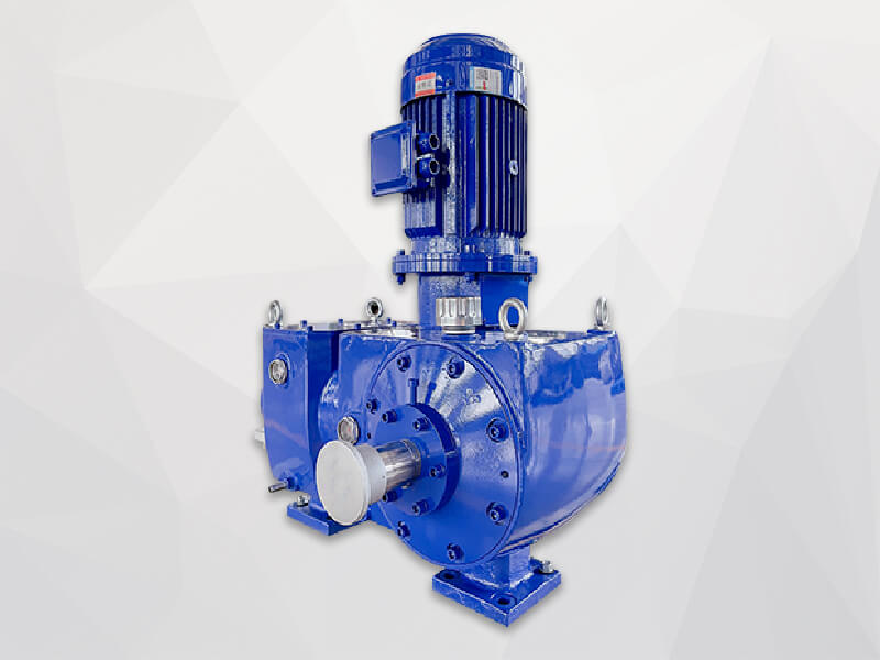 Packed plunger metering pump