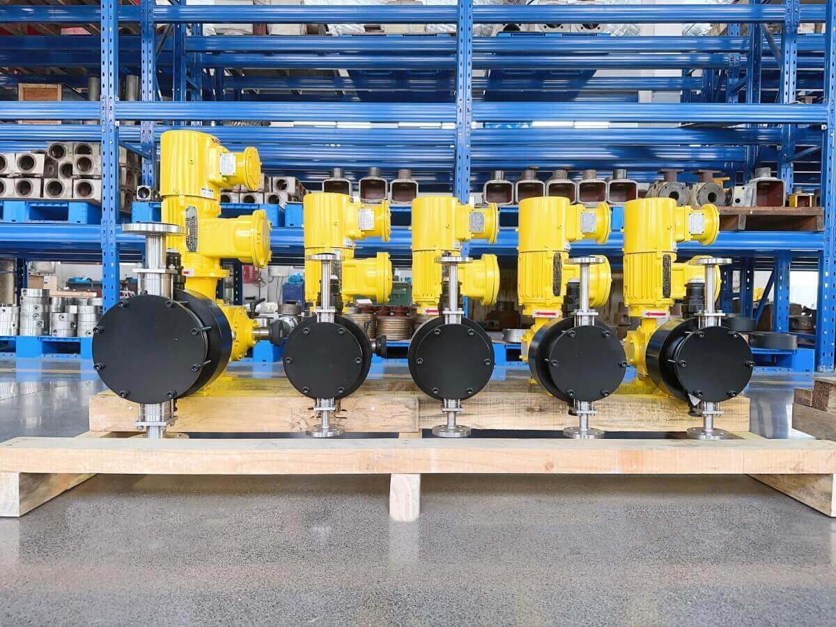 Customized chemical dosing pump